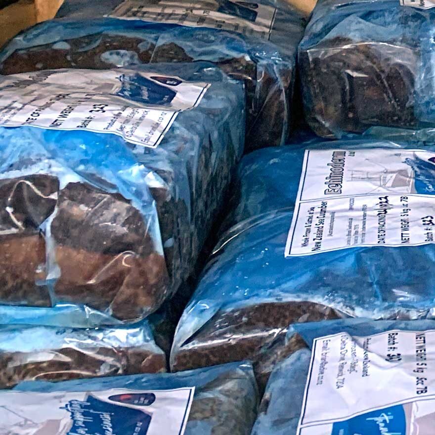 frozen-nz-sea-cumber-for-sale-2